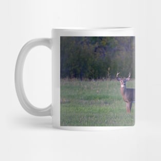 September Deer - White-tailed deer Mug